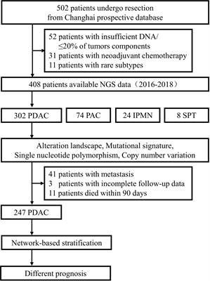 The Landscape of Genetic Alterations Stratified Prognosis in Oriental Pancreatic Cancer Patients